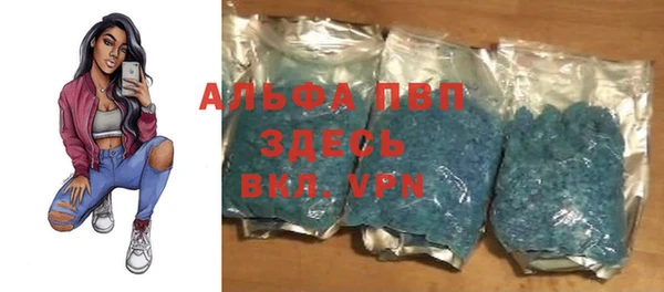 трава Коряжма