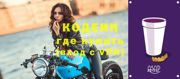 трава Коряжма