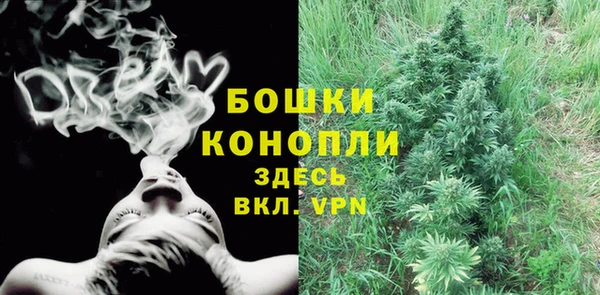 трава Коряжма