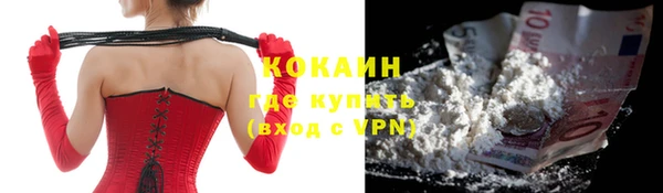трава Коряжма