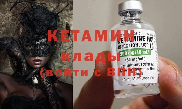 трава Коряжма