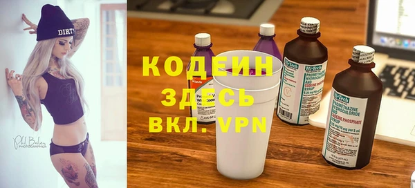 трава Коряжма